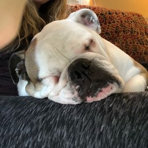 Meet your Posher, Ali